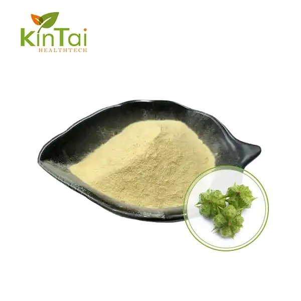 Tribulus Terrestris Extract Powder